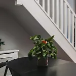 No10 - 2 Bedroom House With Private Garden And Parking Apartment *