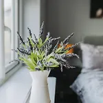 No10 - 2 Bedroom House With Private Garden And Parking Διαμέρισμα *