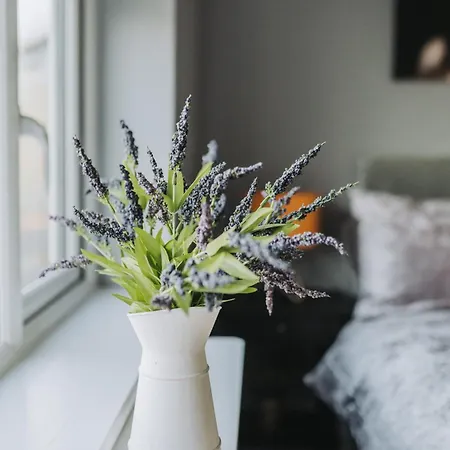 No10 - 2 Bedroom House With Private Garden And Parking 公寓 *