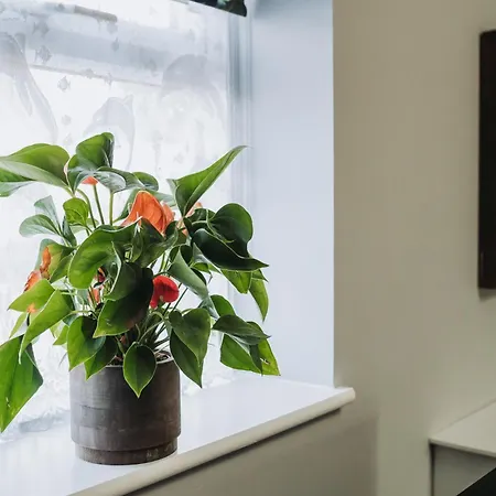 No10 - 2 Bedroom House With Private Garden And Parking Апартаменти *