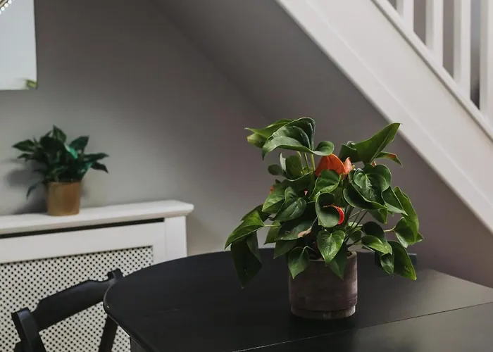 No10 - 2 Bedroom House With Private Garden And Parking 公寓 布里斯托