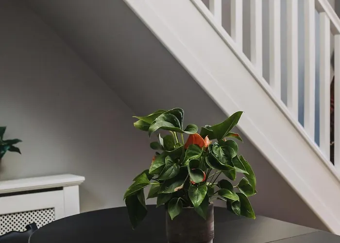 No10 - 2 Bedroom House With Private Garden And Parking Appartamento *