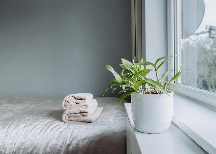 No10 - 2 Bedroom House With Private Garden And Parking *