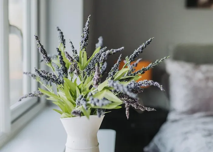 No10 - 2 Bedroom House With Private Garden And Parking Appartamento *