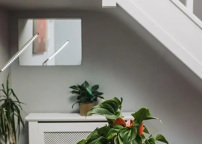 No10 - 2 Bedroom House With Private Garden And Parking * 布里斯托