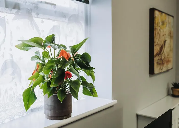 No10 - 2 Bedroom House With Private Garden And Parking شقة *