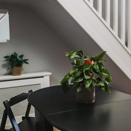 No10 - 2 Bedroom House With Private Garden And Parking Apartment Bristol