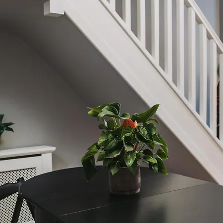 No10 - 2 Bedroom House With Private Garden And Parking Appartement *