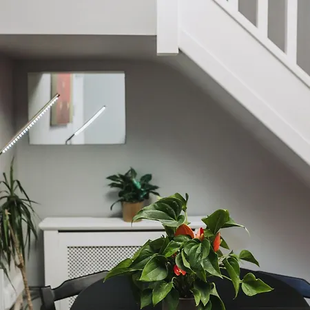 No10 - 2 Bedroom House With Private Garden And Parking * Bristol